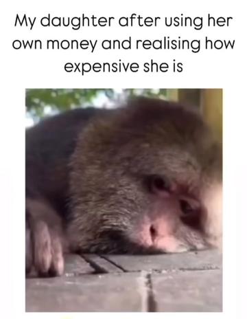 @Rando Whitey Stacy
