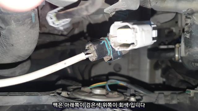@귀여운친구