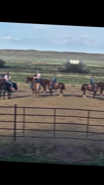 @Barrel Racing Journey
