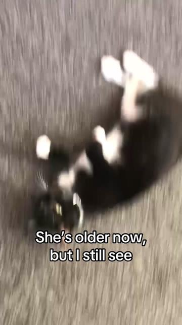 @🥃