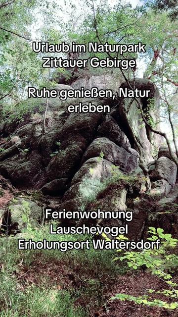 @mandau-fewo.de