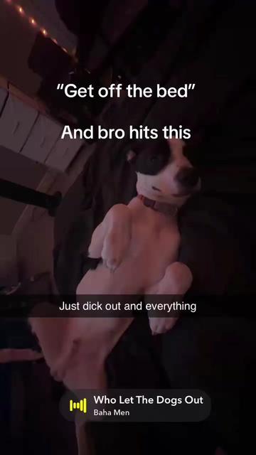 @andrewtf