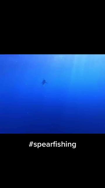 @kairosspearfishing