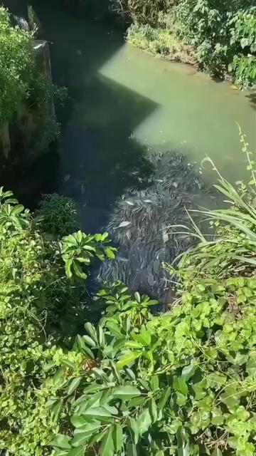 @waroeng.id