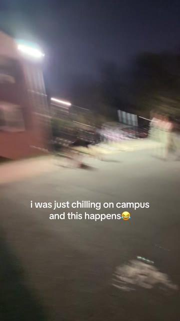 @ZEKE