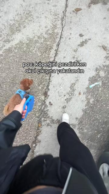 @zera