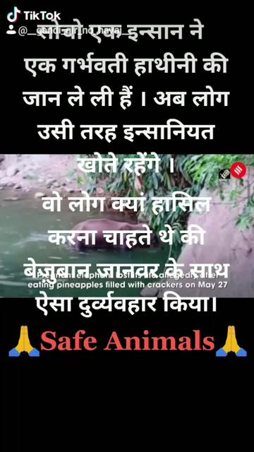 @RATHOD PRAKASH