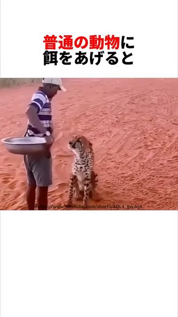 @user1040381569363