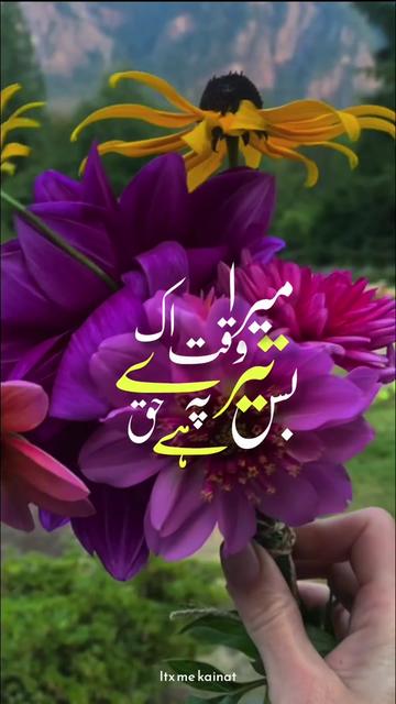 @🌸🇾 🇴 🇺 🇷 ᴋᴀɪɴᴀᴛ 🌸
