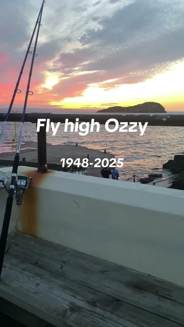 @alfie_fishes_
