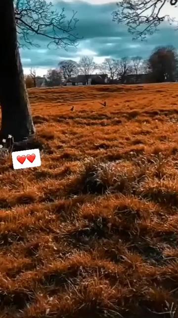 @Sukh_samra_🔏