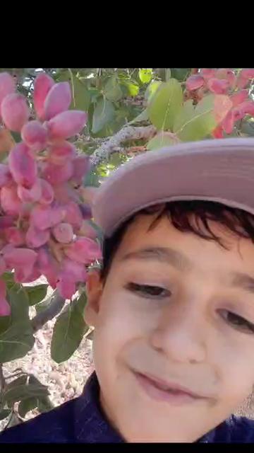 @أبو أيهم