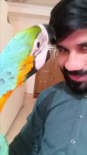 @Mehtab's Pet