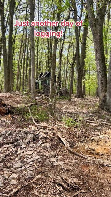 @jctlogging