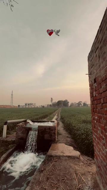 @Punjab