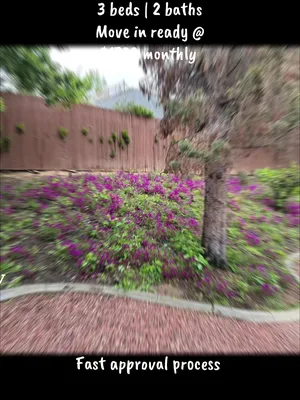 @Viktor Sandor | Realtor