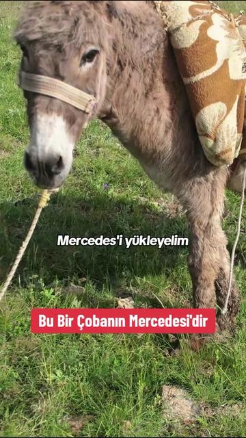 @Volkanmedya