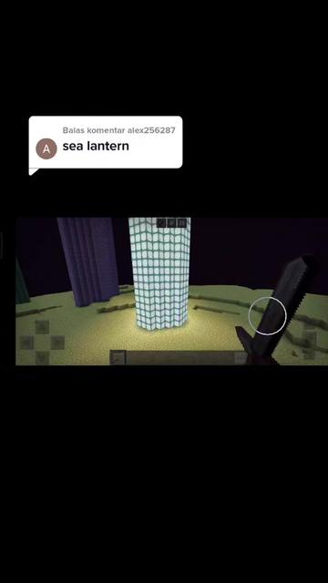 @Minecraft veteran