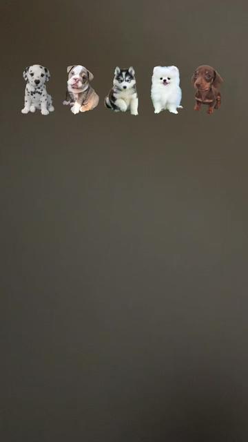 @obv29coco4