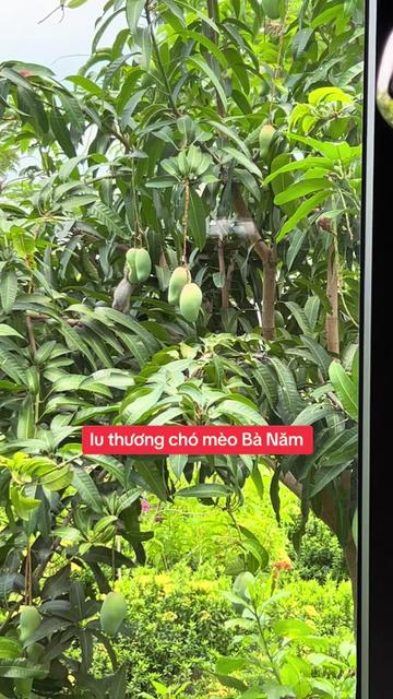 @yeuthuongchomeoba5