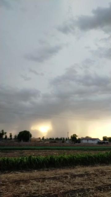 @m. k. limbadiya