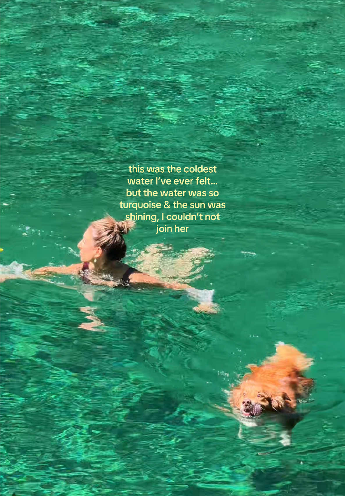 @maya kapouranis