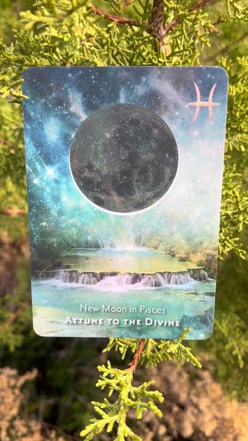 @💫 Star Keeper Oracle 🔮