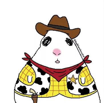 @doodlehamster
