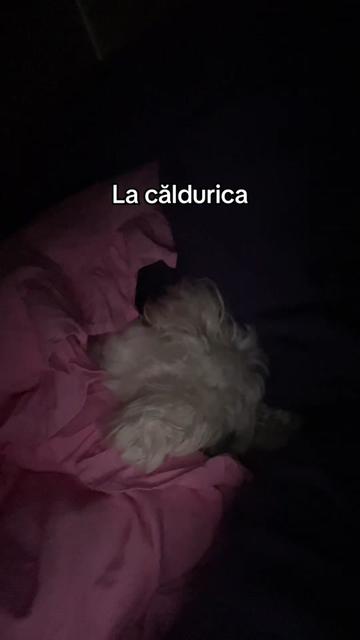 @Luna 🌝