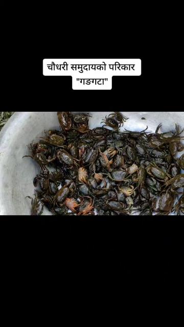 @surendra acharya