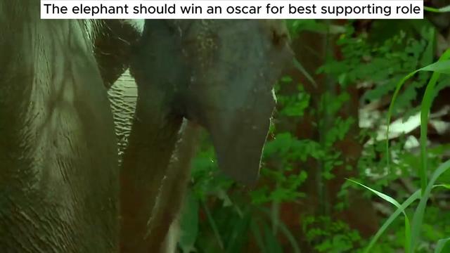 @Planet Earth