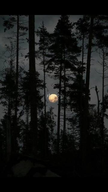 @🌿🌜Raíchéal Mac Lughaigh🌛🌿
