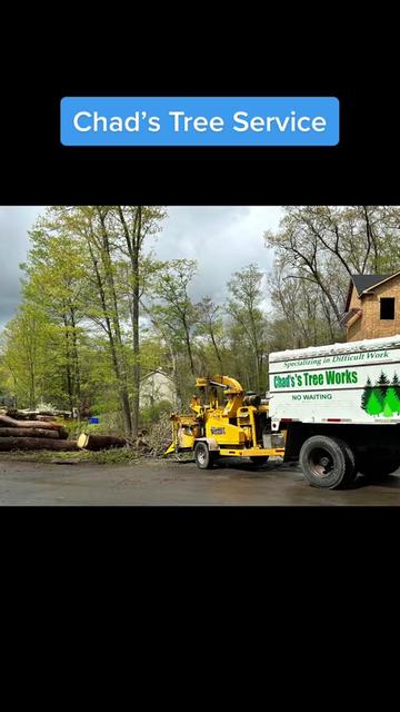 @Chads Tree Service