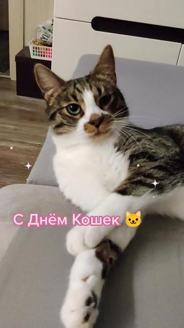 @Miki Мики