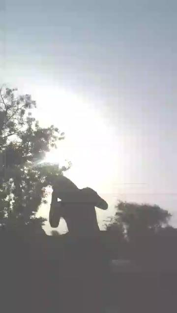 @🚩👑जय शिवराय👑🚩