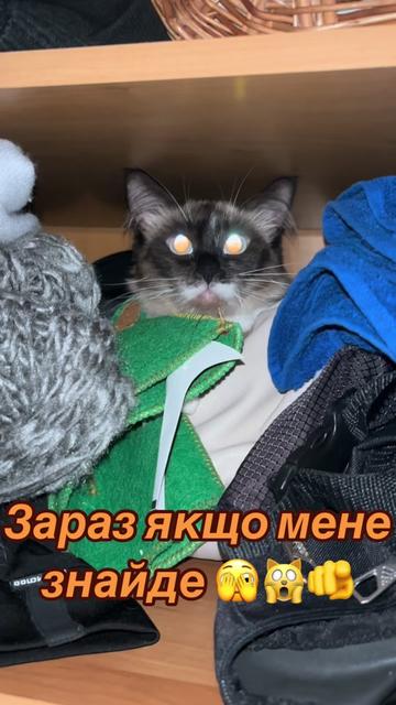 @Persik