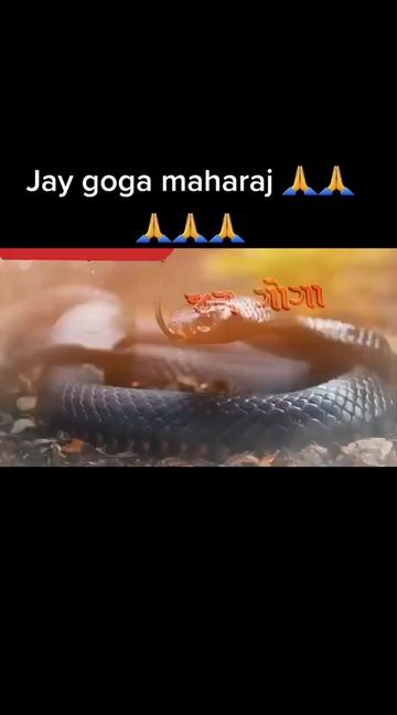 @Ghanshaym Patel