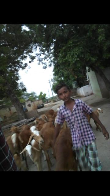 @Mahesh Gundaboina