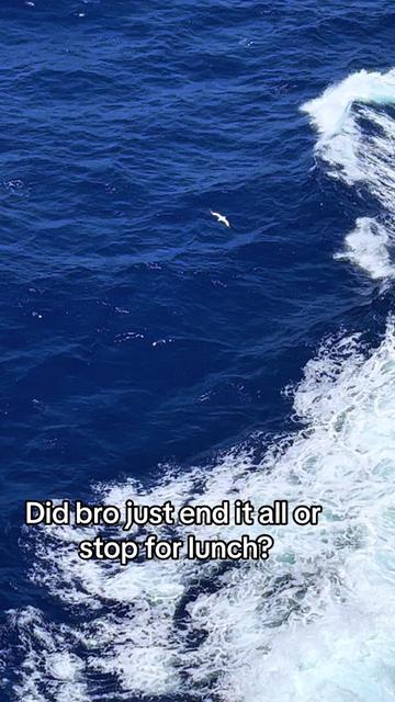 @stopspinskydiving