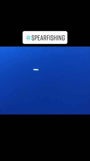 @kairosspearfishing