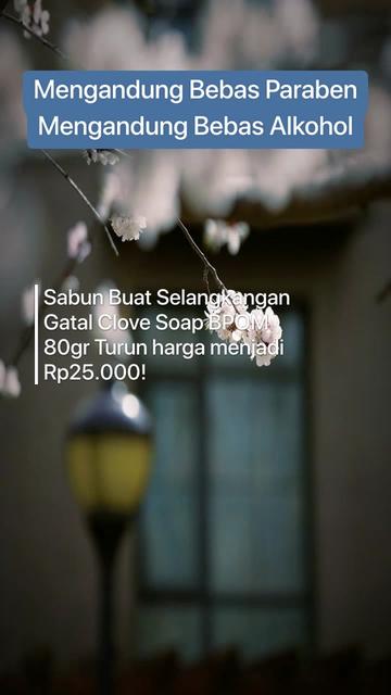 @Racun tik tok