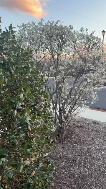 @annieraczko