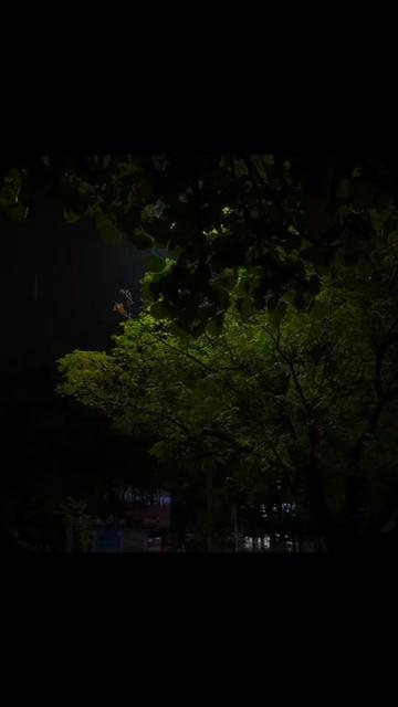 @๐๐ช๐จ๐ง๐ ๐๐๐๐ฉ๐จ