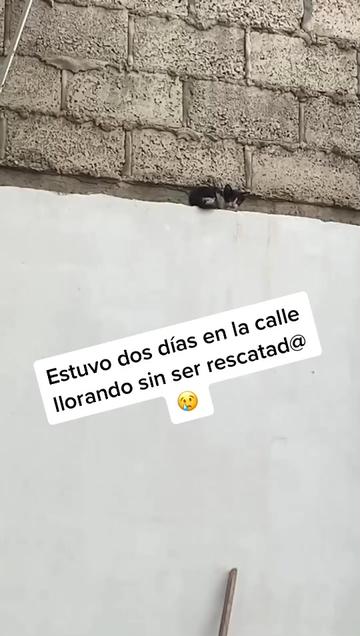 @Angie Ramos