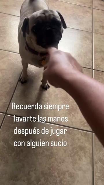 @Vivi Gutierrez