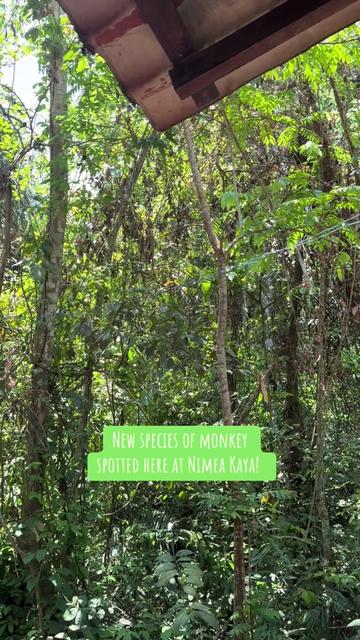 @Nimea Kaya Healing Center