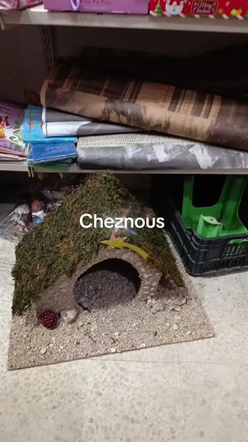 @chezi