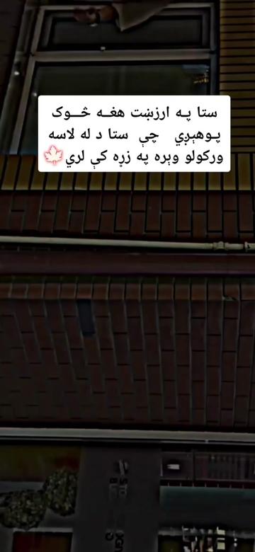 @💔🌿Laghmani