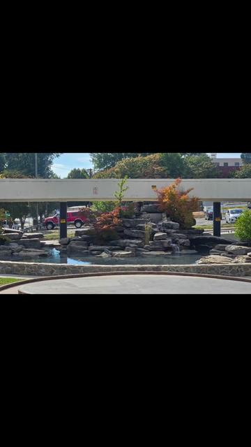 @Lady Larkin