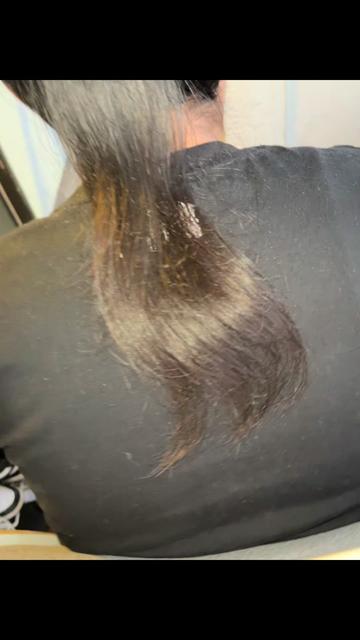 @thedreadlocguy